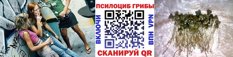 Псилоцибиновые грибы MAGIC MUSHROOMS Семикаракорск